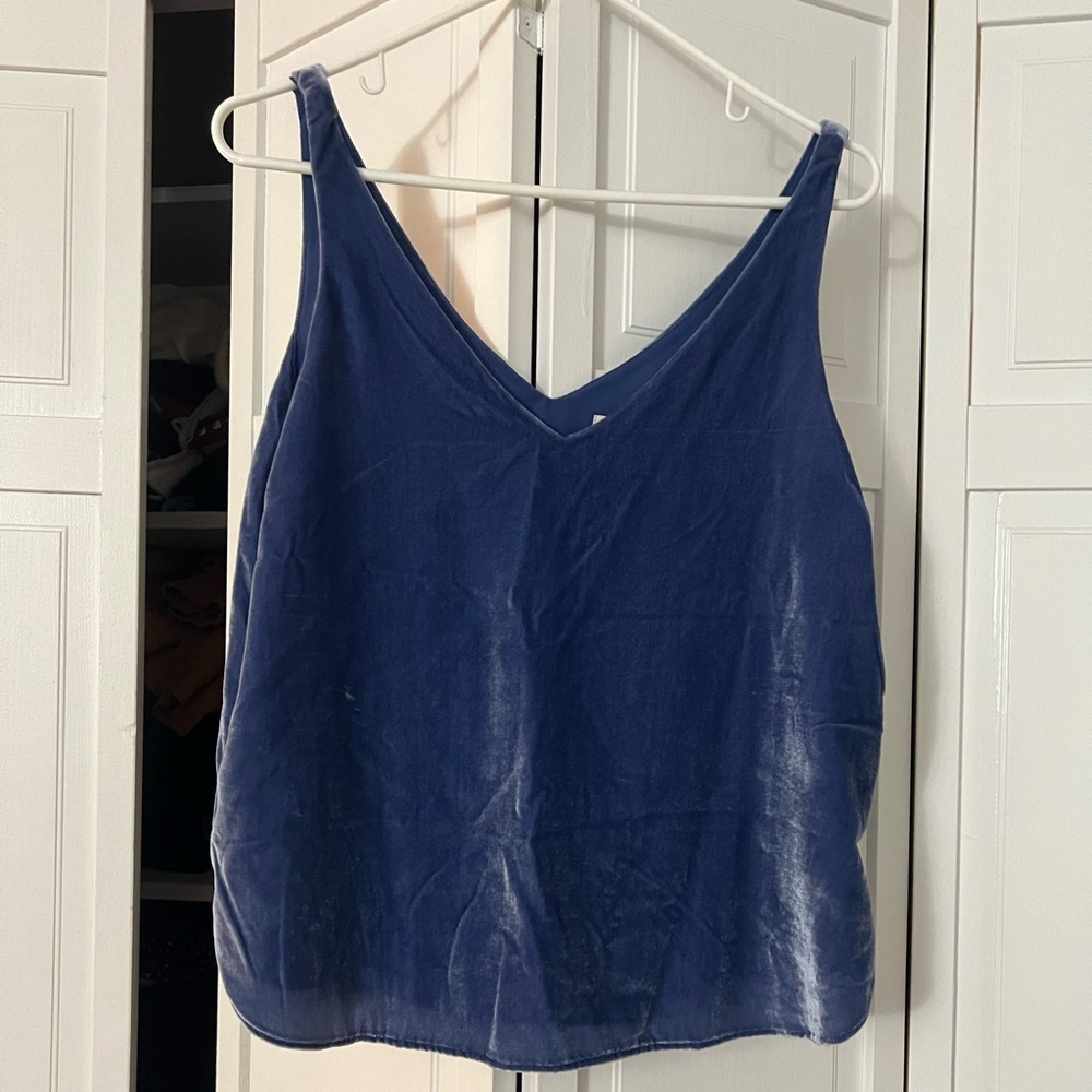 Blue velvet top